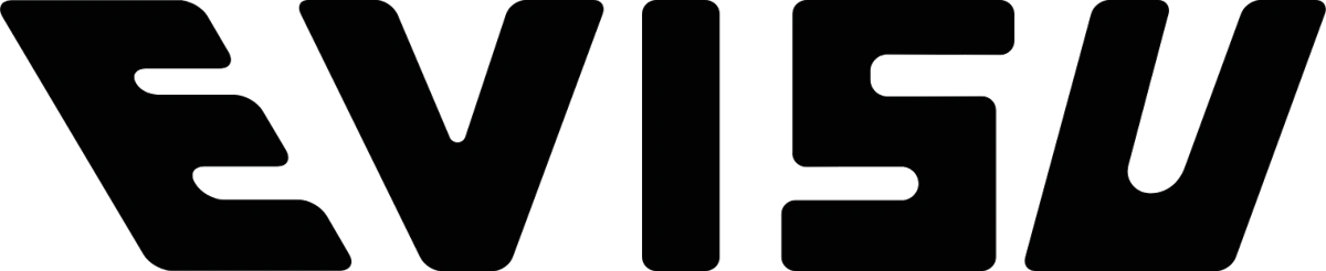 Evisu logo